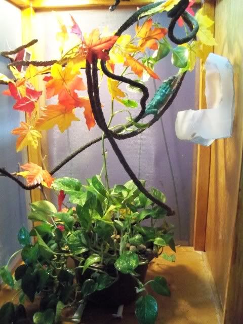 100_0423.jpg