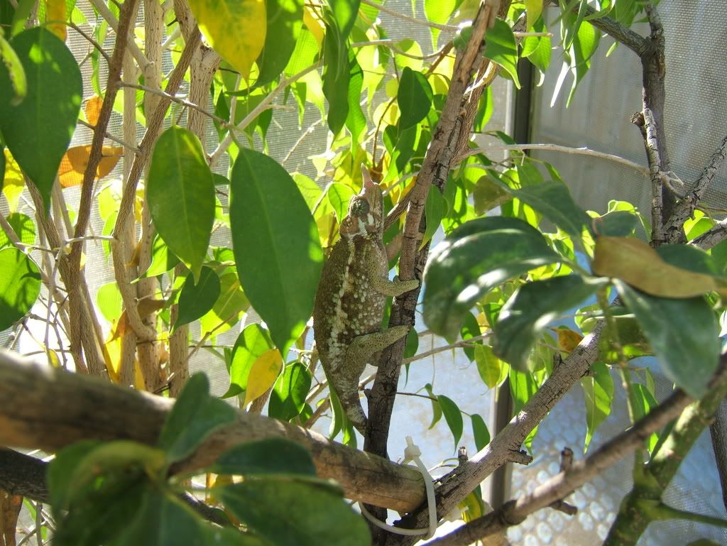 DSCF7731.jpg