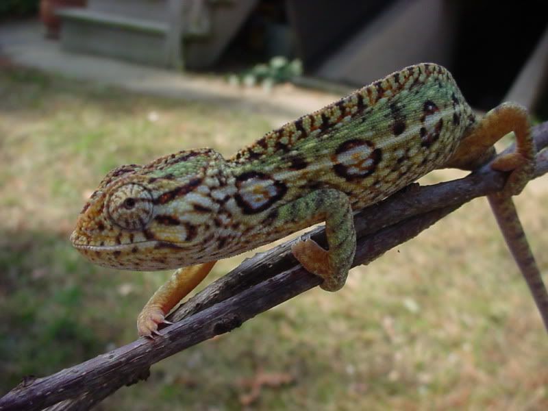 DSC02989.jpg