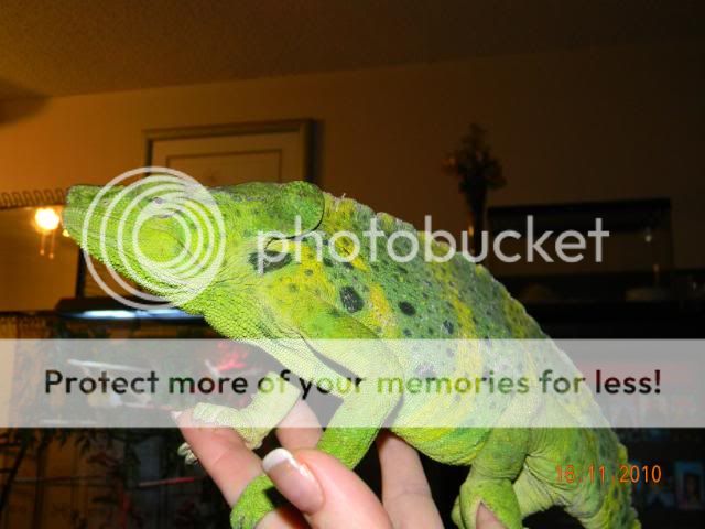 20101116_19.jpg