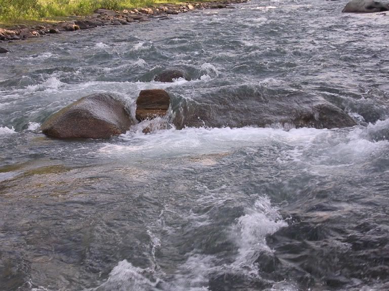 DSCN0361.jpg