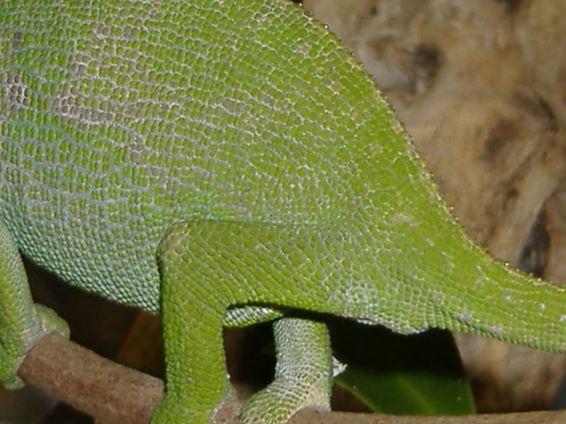 DSCF8472.jpg