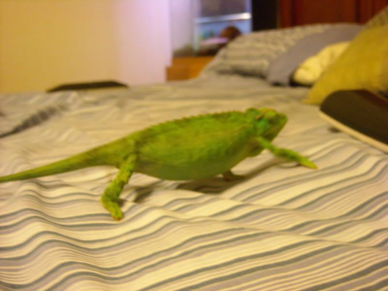 DSCN0098.jpg