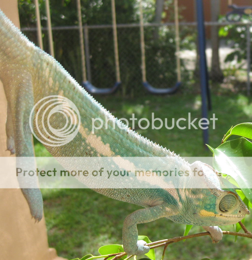 IMG_0823.png