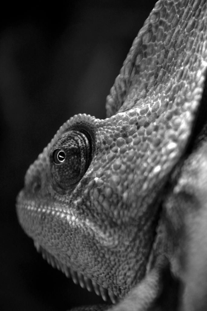 DSC_0147_zpsf919def1.jpg