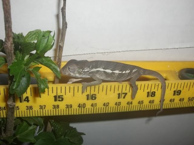 male3.jpg