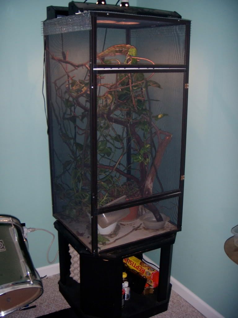 DSCN1257.jpg