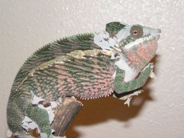 PICT3100.jpg