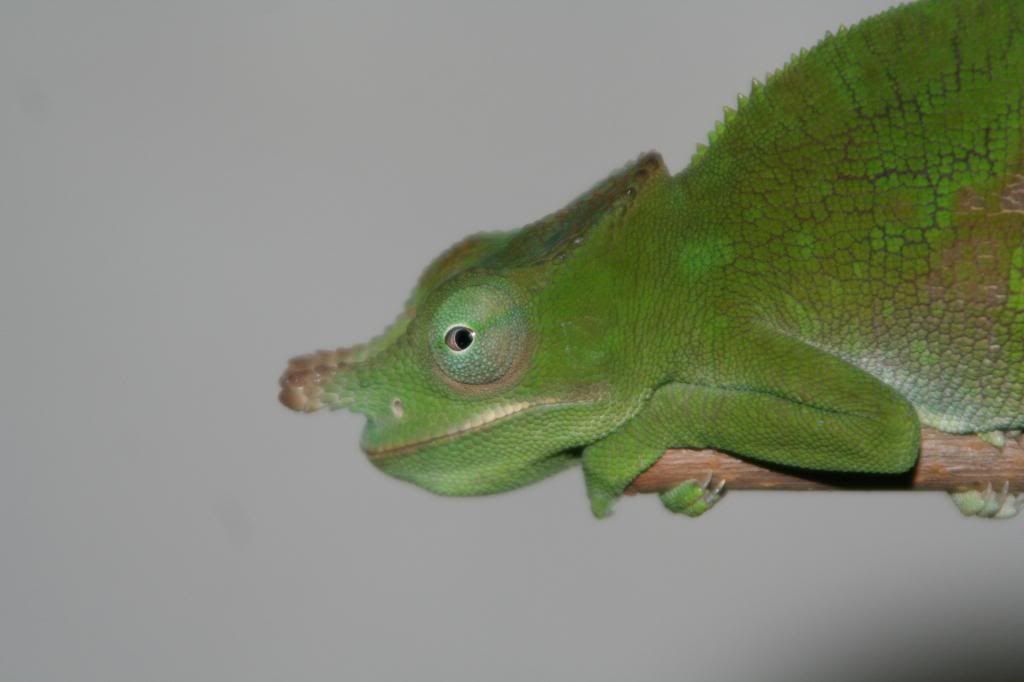 013-13_zps94364fd8.jpg