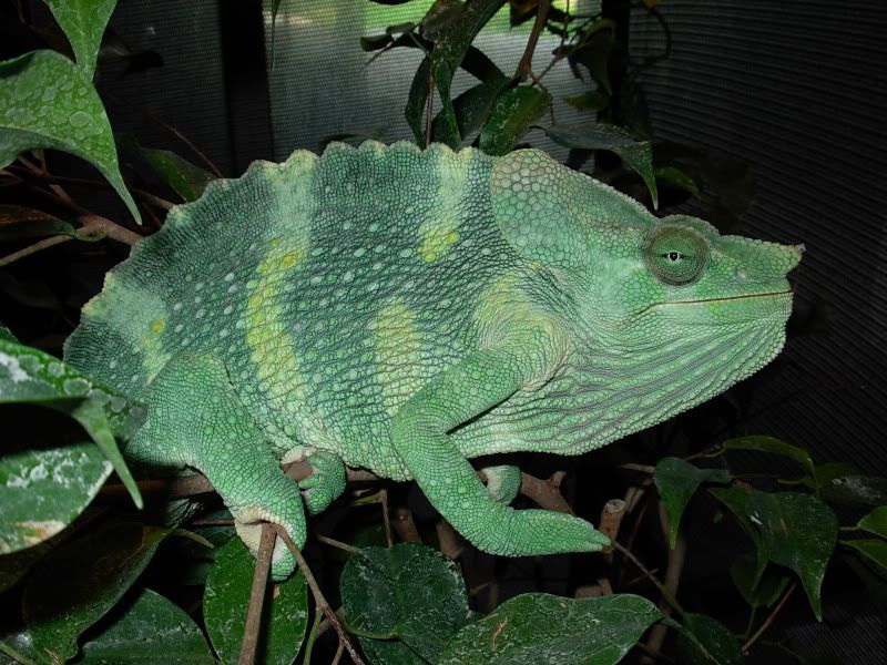 DSCN5527.jpg