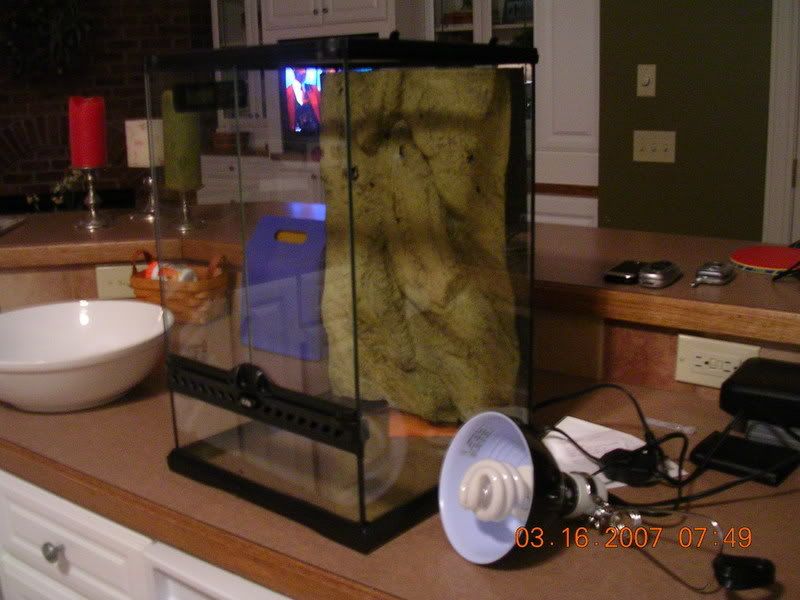 DSCN3511.jpg