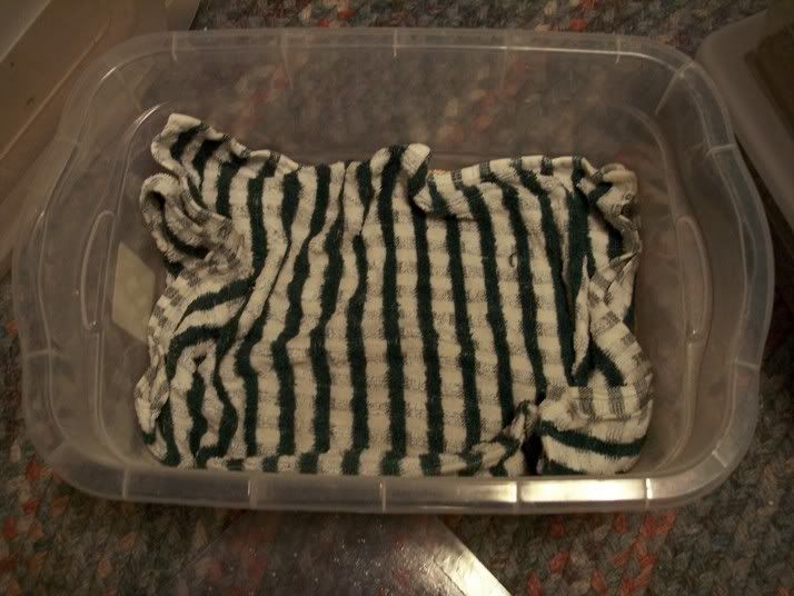superwormtowel.jpg