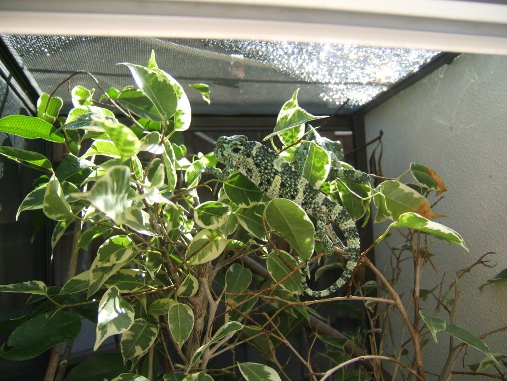 DSCF7770.jpg