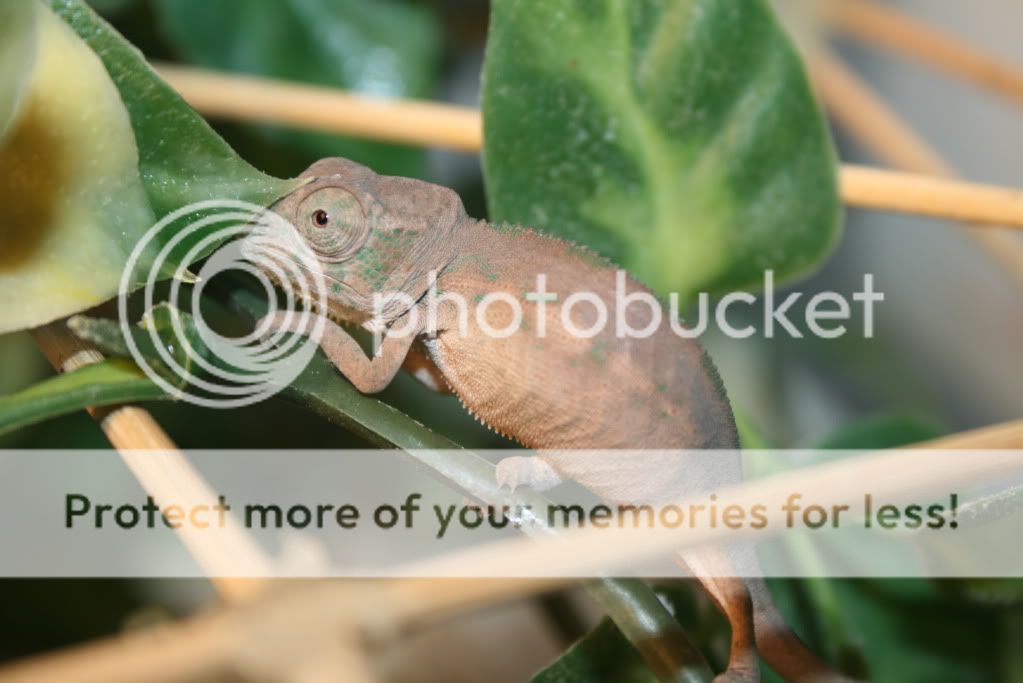 babies5-28-2011006.jpg