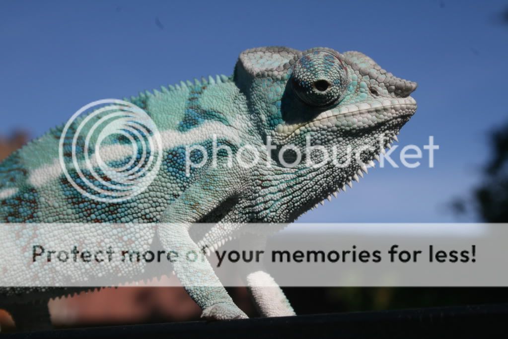 eospics9-19-09018-3.jpg