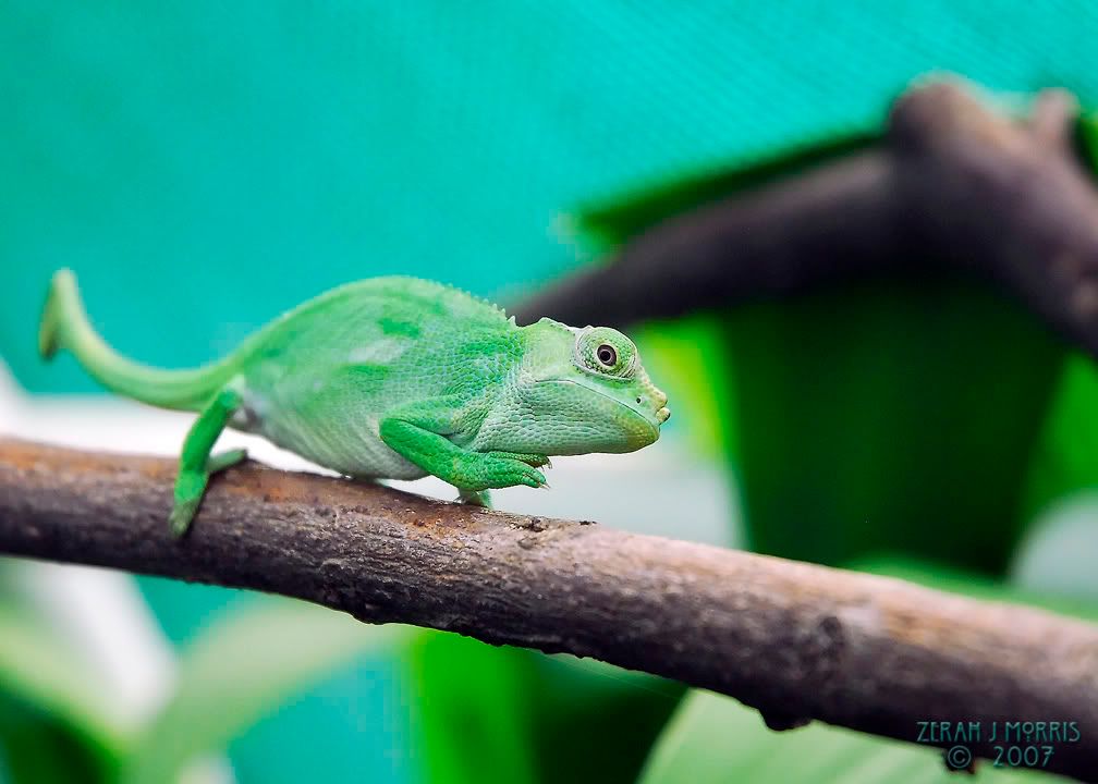 _DSC1015.jpg