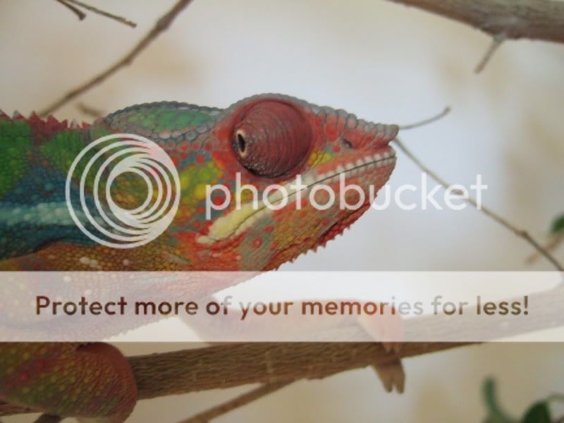 DSCF4630.jpg