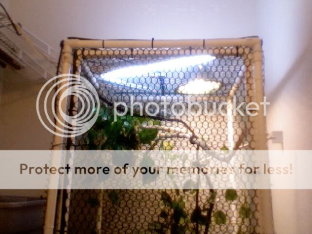 Photo4.jpg