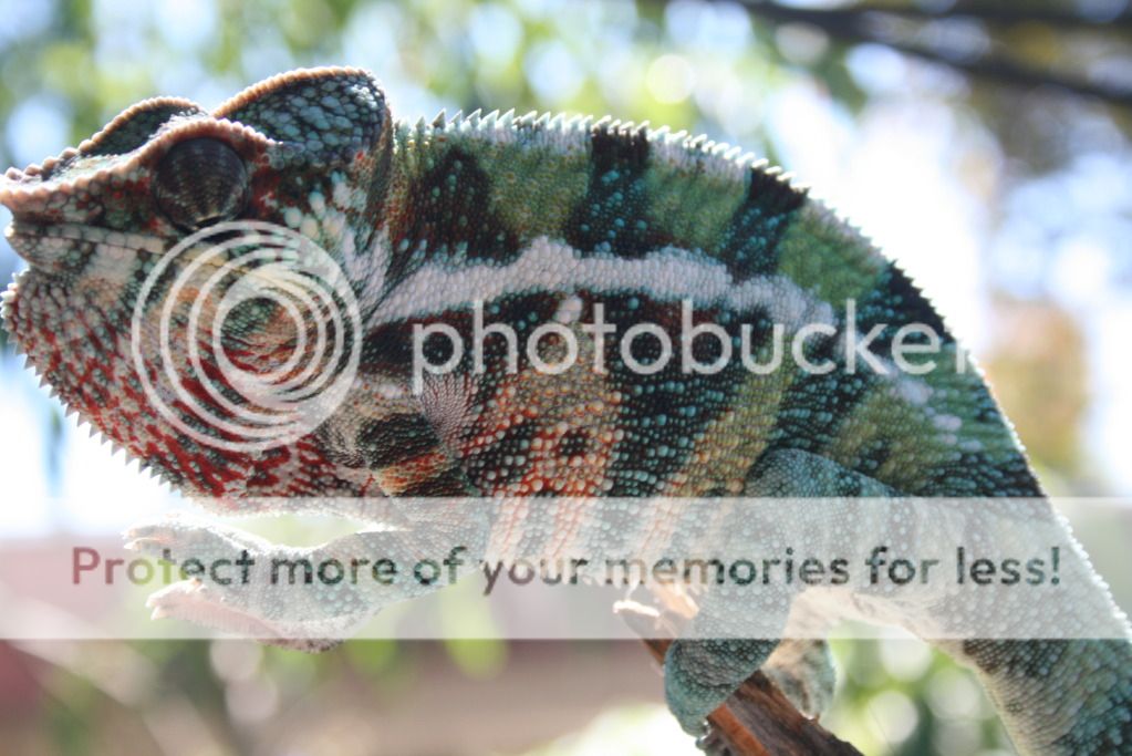 outsidepics005.jpg