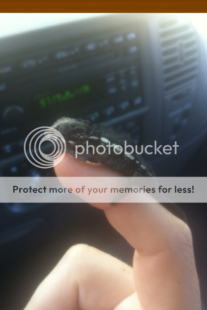 IMG_0296-1-1.png