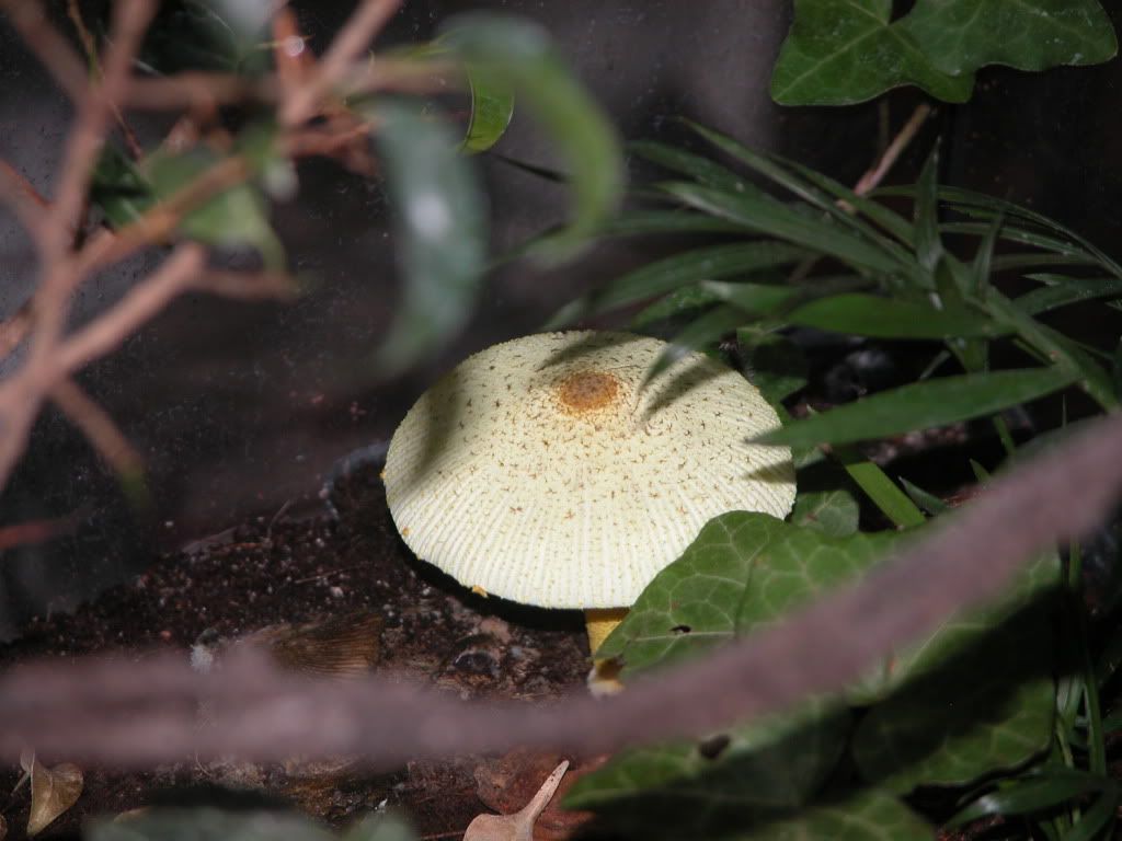 DSCN9343.jpg