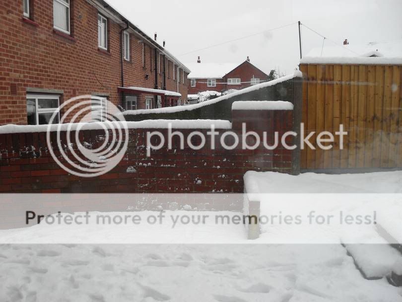 Snow.jpg