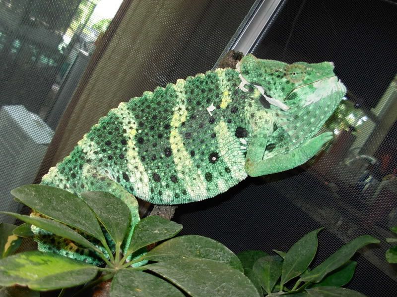 DSCN5322.jpg