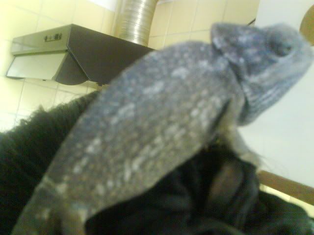 DSC00025.jpg