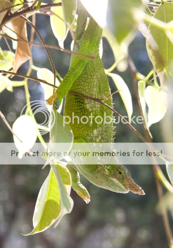 07172011_trogdor.jpg