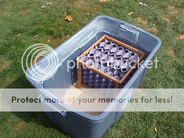 roach-setup-3.jpg