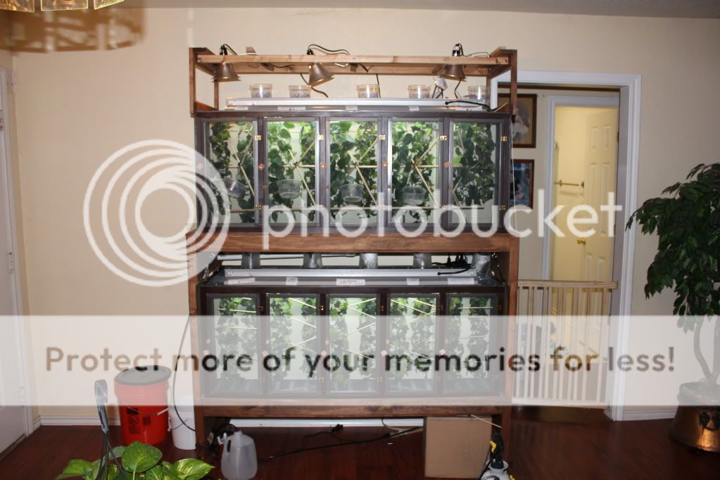 babyraiserpics050.jpg