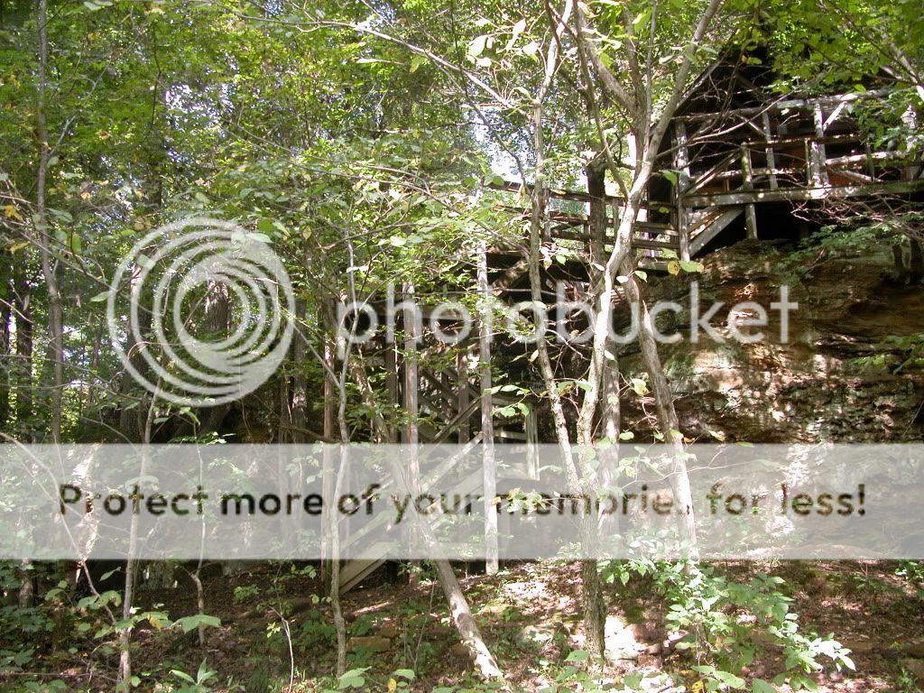 Treehouse6.jpg