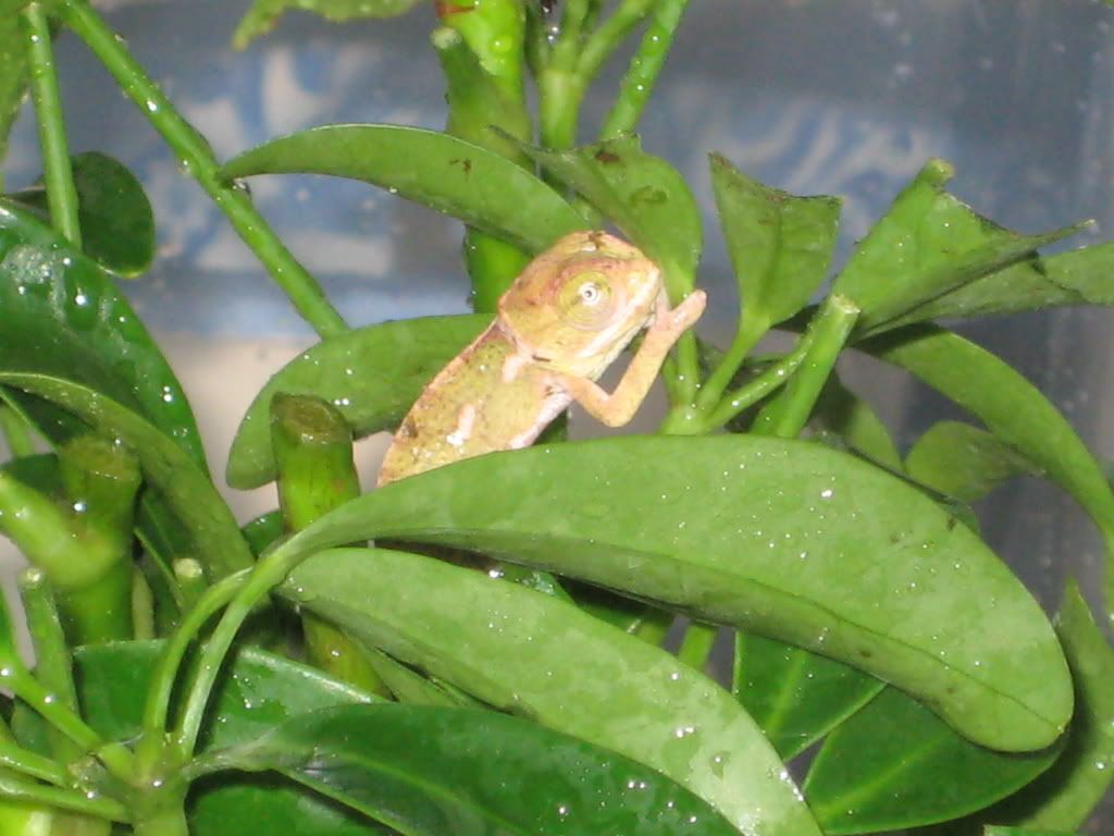 IMG_9813.jpg