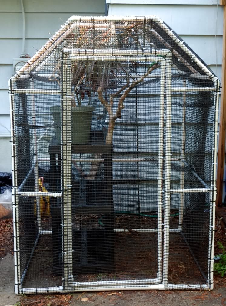 Enclosure4.jpg