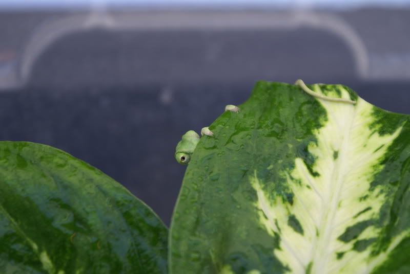 DSC03844.jpg