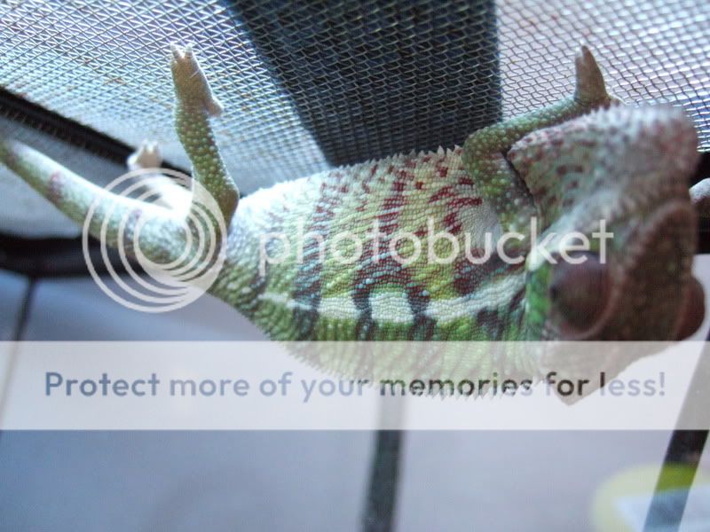 DSCF1891.jpg