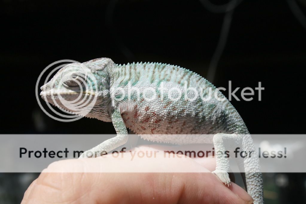 somepics011.jpg