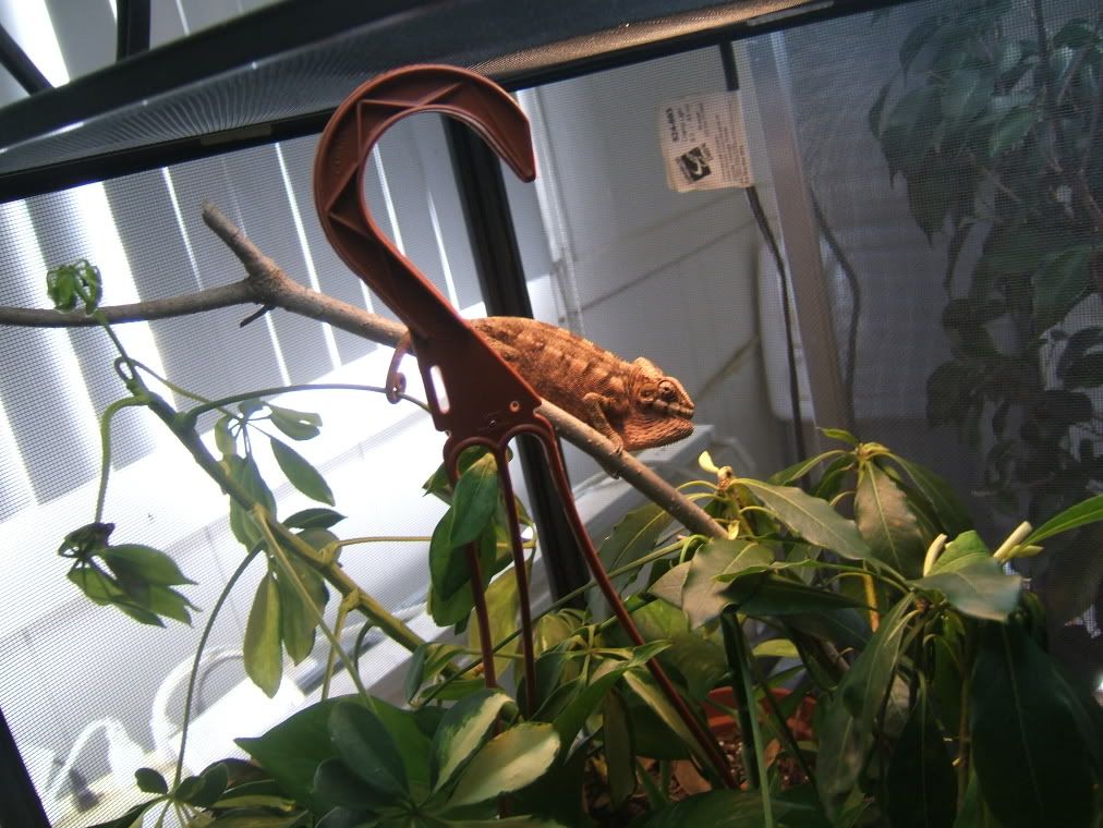 DSCF7814.jpg