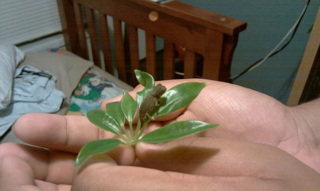 IMAG0027.jpg