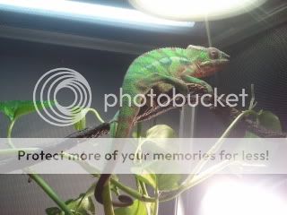 2011-12-31170547.jpg