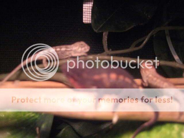 IMG_2079.jpg