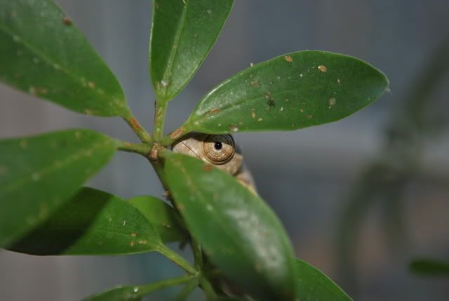 DSC_01237.jpg
