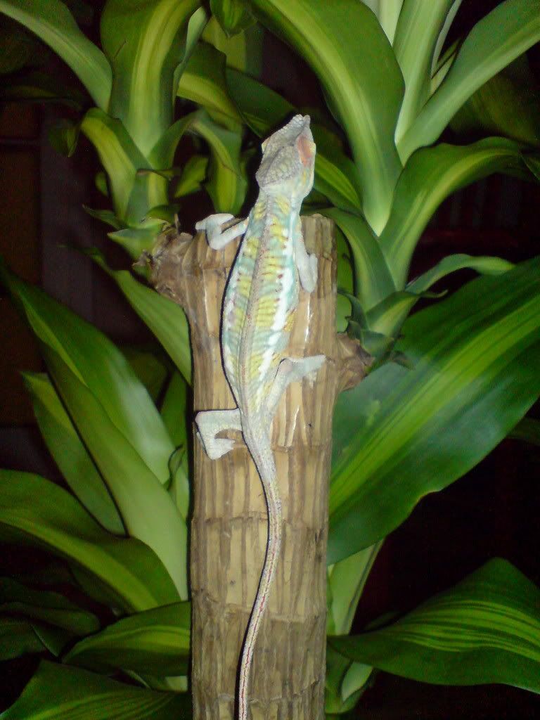 DSC01651.jpg