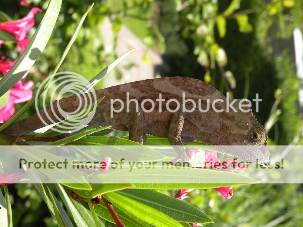 DSCN8215.jpg