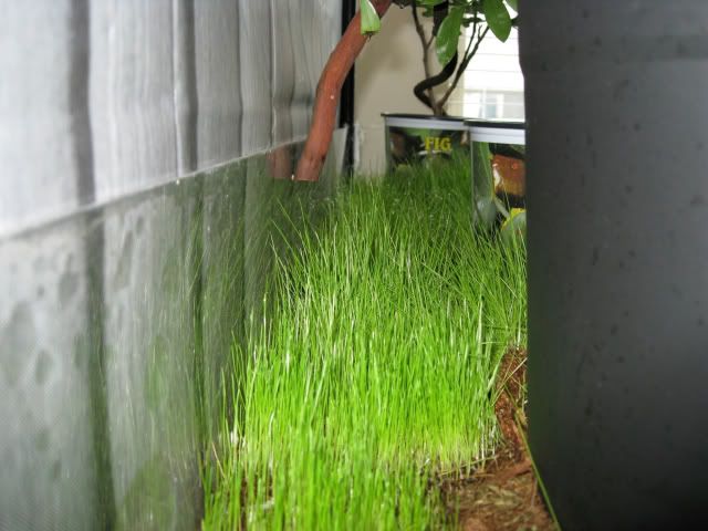 d4578f41.jpg