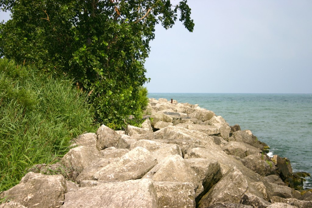 7002508978_df49877d0f_b.jpg