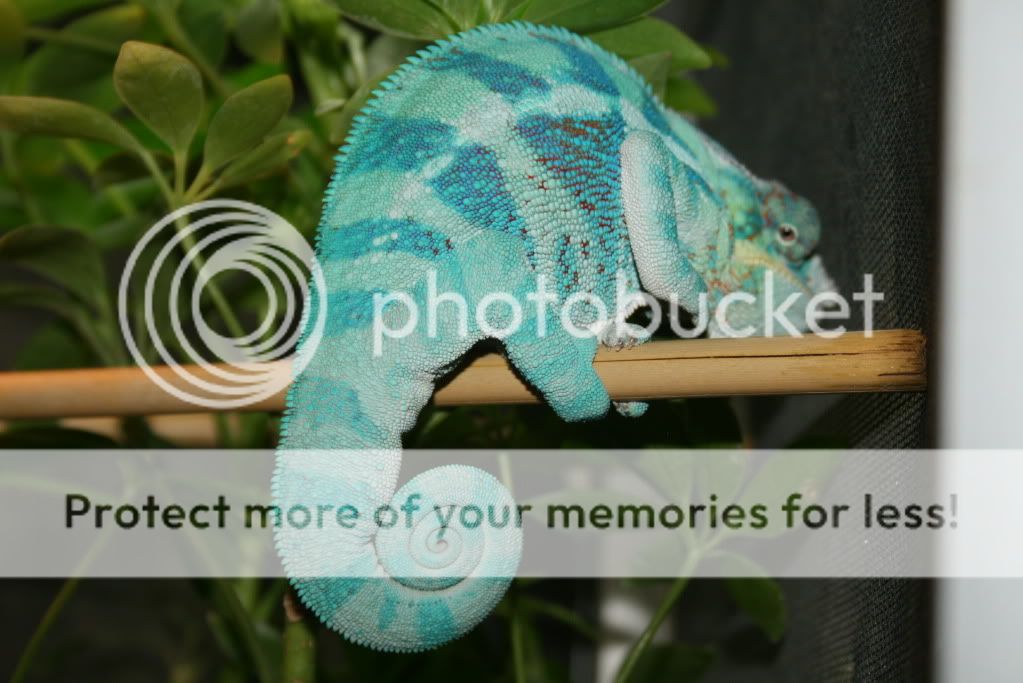 sunpics013.jpg