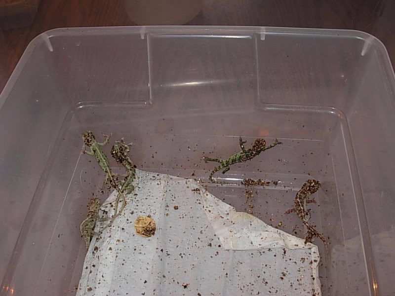 DSCN1877.jpg