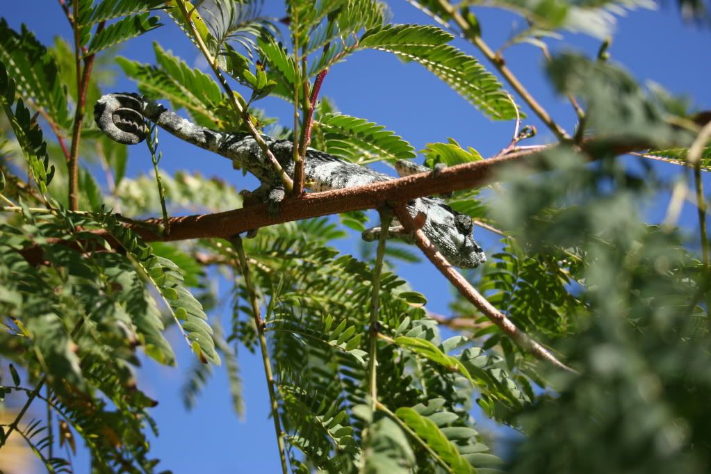 IMG_1092.jpg