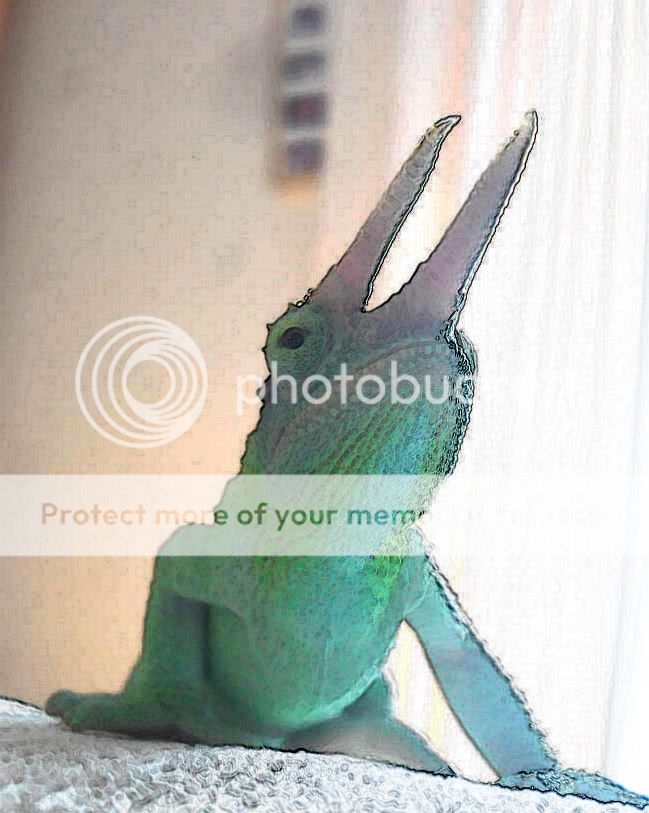GorgeousMonty.jpg